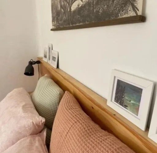 Casa Papaya, * טינדאיה