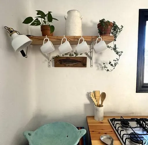 Casa Papaya, דירה